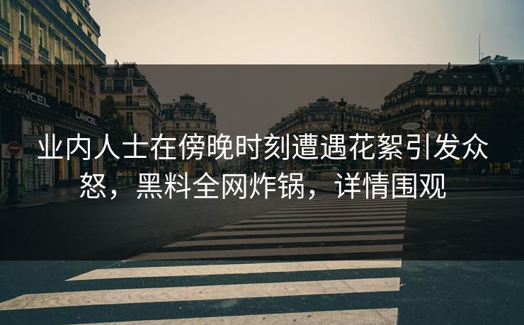 业内人士在傍晚时刻遭遇花絮引发众怒，黑料全网炸锅，详情围观