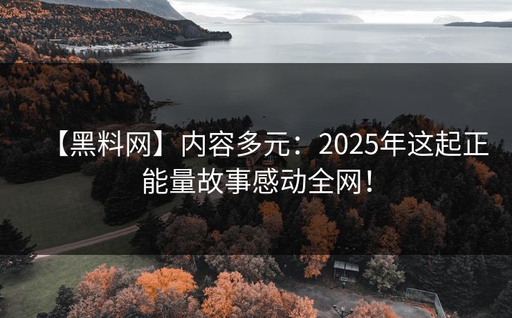 【黑料网】内容多元：2025年这起正能量故事感动全网！