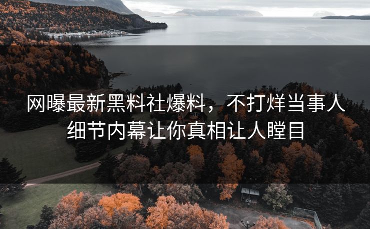 网曝最新黑料社爆料，不打烊当事人细节内幕让你真相让人瞠目