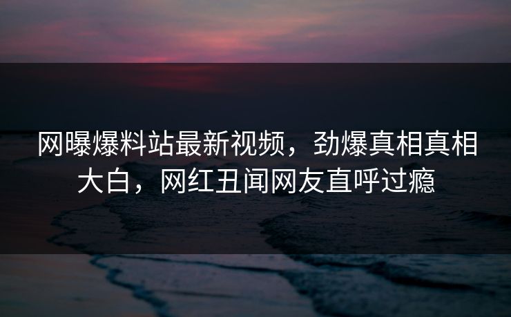 网曝爆料站最新视频，劲爆真相真相大白，网红丑闻网友直呼过瘾