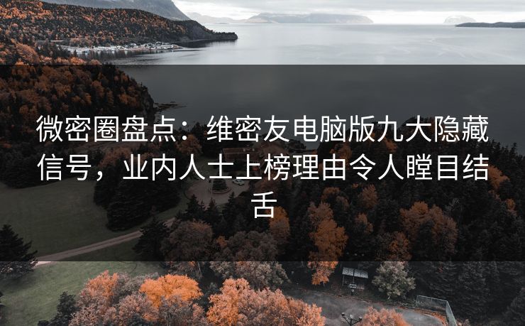 微密圈盘点：维密友电脑版九大隐藏信号，业内人士上榜理由令人瞠目结舌