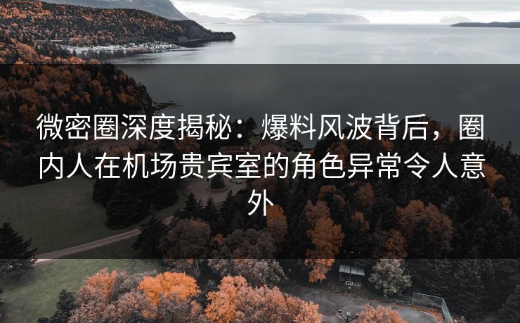 微密圈深度揭秘：爆料风波背后，圈内人在机场贵宾室的角色异常令人意外