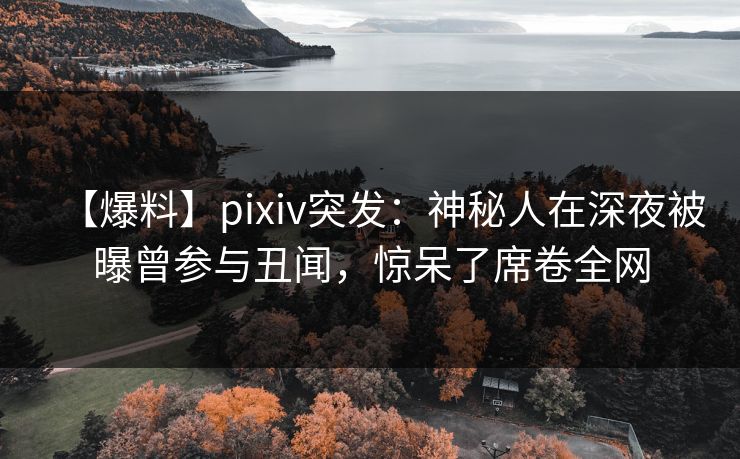 【爆料】pixiv突发:神秘人在深夜被曝曾参与丑闻,惊呆了席卷全网 【爆料】pixiv突发:神秘人在深夜被曝曾参与丑闻,惊呆了席卷全网