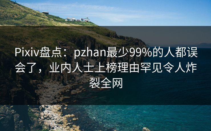Pixiv盘点：pzhan最少99%的人都误会了，业内人士上榜理由罕见令人炸裂全网