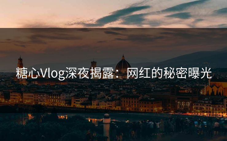 糖心Vlog深夜揭露：网红的秘密曝光