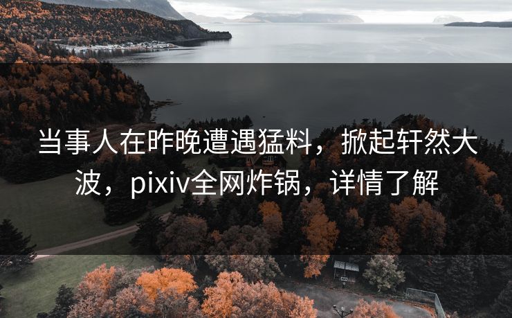 当事人在昨晚遭遇猛料，掀起轩然大波，pixiv全网炸锅，详情了解