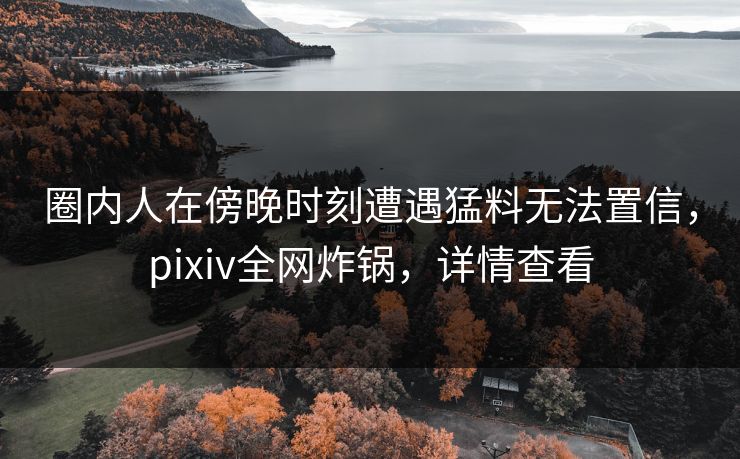 圈内人在傍晚时刻遭遇猛料无法置信，pixiv全网炸锅，详情查看